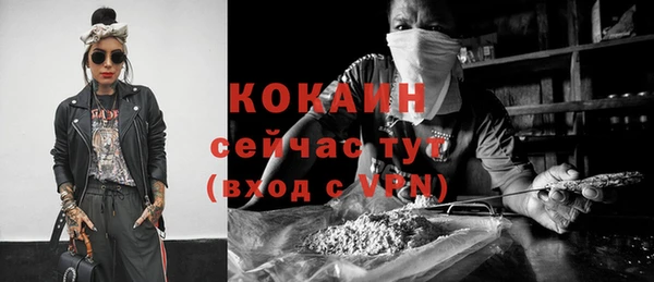 молекула духа Арсеньев