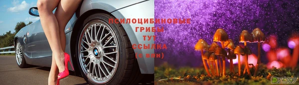 mix Аркадак