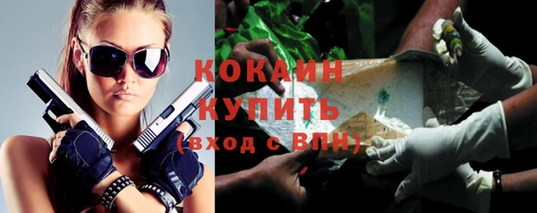 молекула духа Арсеньев