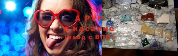 молекула духа Арсеньев