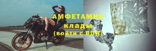 молекула духа Арсеньев
