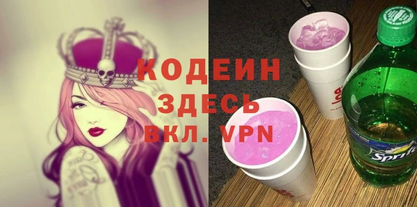 молекула духа Арсеньев