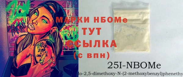 молекула духа Арсеньев