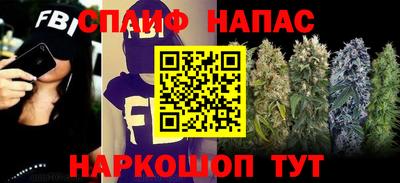 дурь Кингисепп