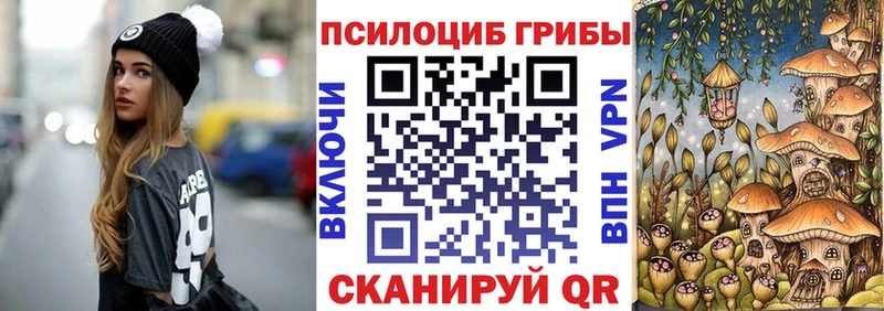 OMG ссылка  Кимры  Псилоцибиновые грибы мицелий 