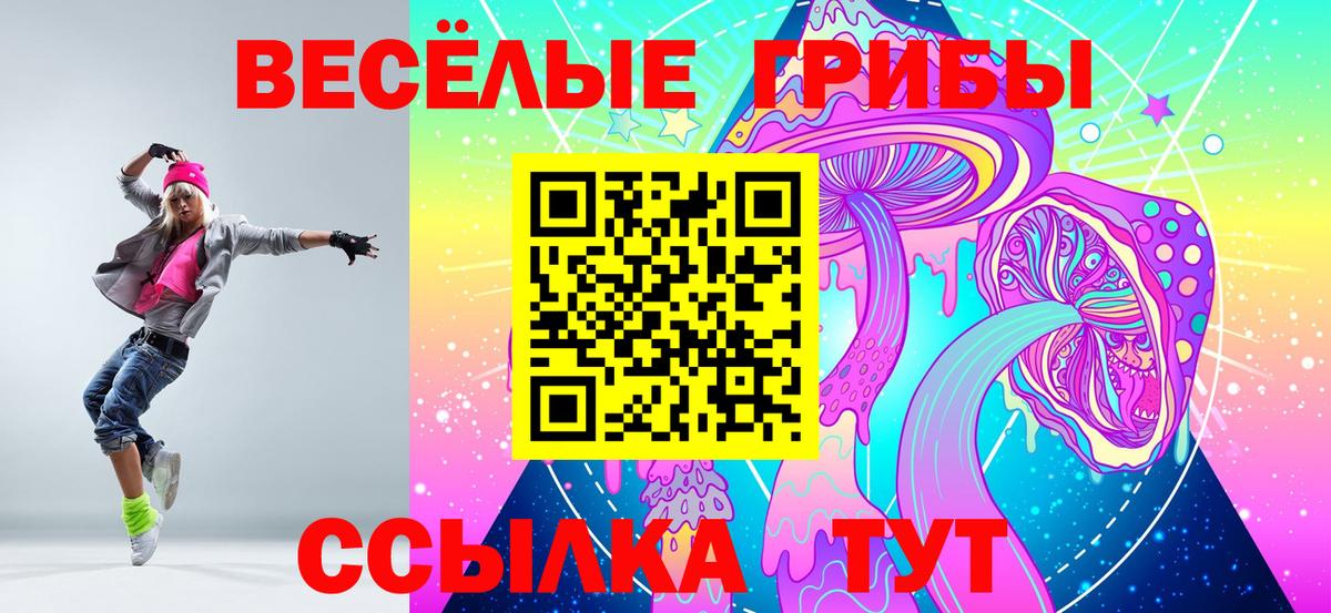Кимры  Псилоцибиновые грибы Cubensis  Вход с VPN  Галлюциногенные грибы Psilocybine cubensis 