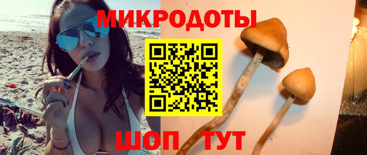 Псилоцибиновые грибы GOLDEN TEACHER Кимры