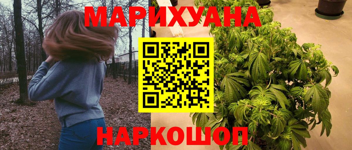 Кимры  Конопля план  Конопля OG Kush  Бошки марихуана гибрид  Вход с VPN 